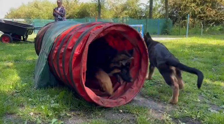 Filmpje Giny, Guy en Dempsey bij eerste training